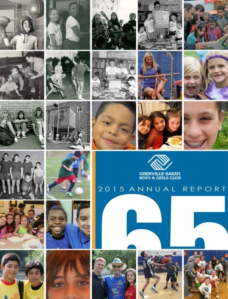 2015 Annual Report cover