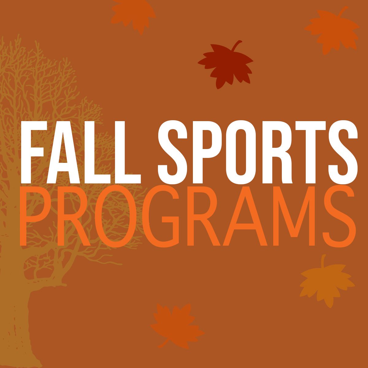 FallSports copy